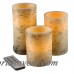 Union Rustic 4 Piece Birch Bark Flameless LED Wax Vanilla Frameless Candle Set UNRS5033